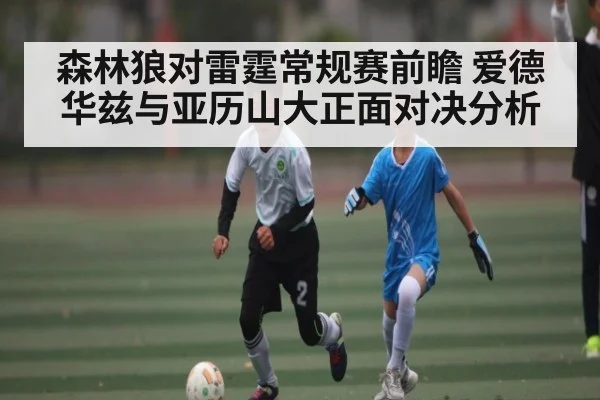 森林狼对雷霆常规赛前瞻 爱德华兹与亚历山大正面对决分析 | Leyu